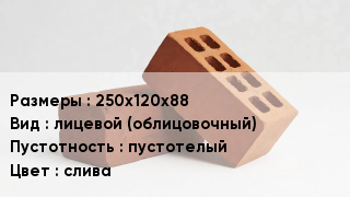 Кирпич 250х120х88 лицевой (облицовочный) пустотелый слива